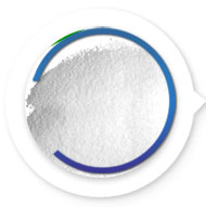 單甘酯GMS(全稱蒸餾單硬脂酸甘油酯)